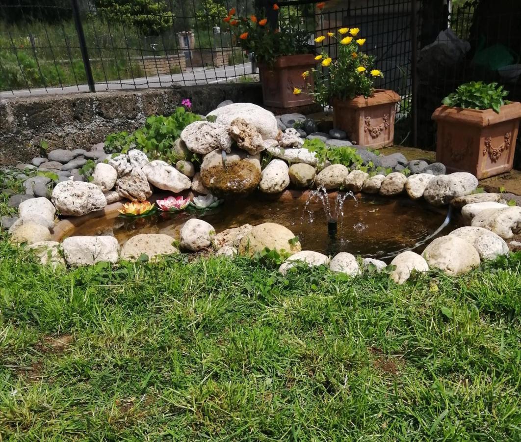 B&B Maremma'S Dream Catabbio Экстерьер фото