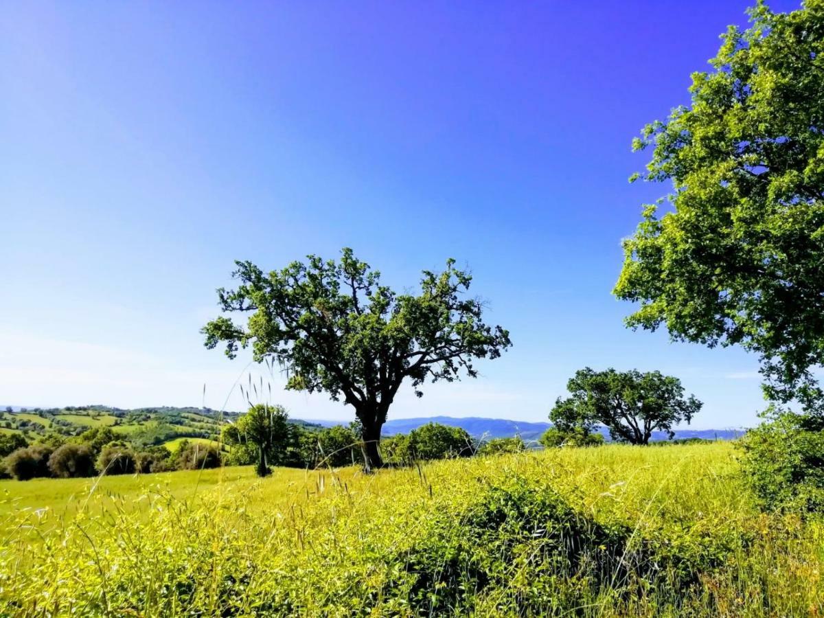B&B Maremma'S Dream Catabbio Экстерьер фото