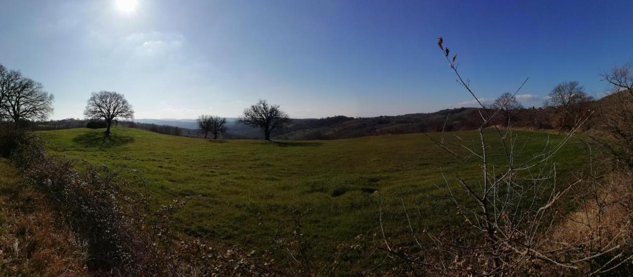B&B Maremma'S Dream Catabbio Экстерьер фото